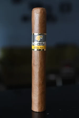 Cohiba Siglo VI.