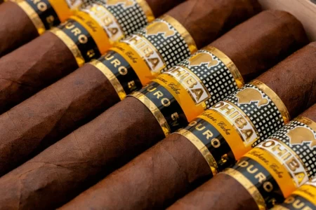 Cohiba Maduro 5 Genios