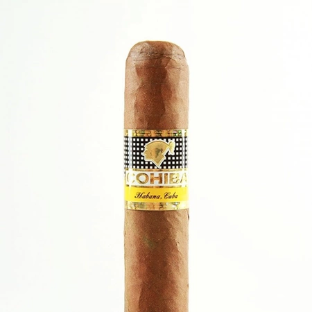 Cohiba Robustos