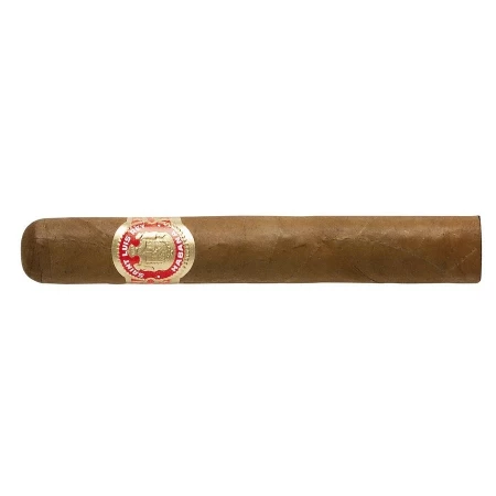Saint Luis Rey Regios
