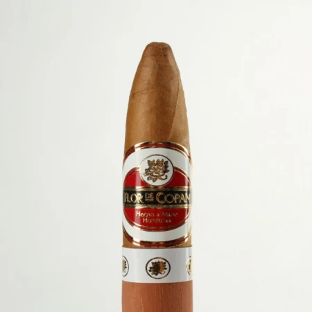 Flor de Copan Belicosos