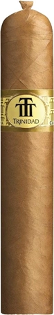 Trinidad Vigia