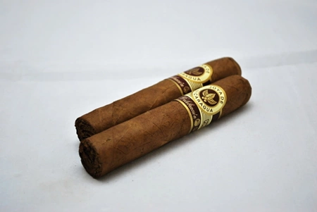 Joya de Nicaragua Celebracion Robusto
