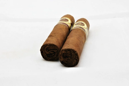 Joya de Nicaragua Celebracion Robusto