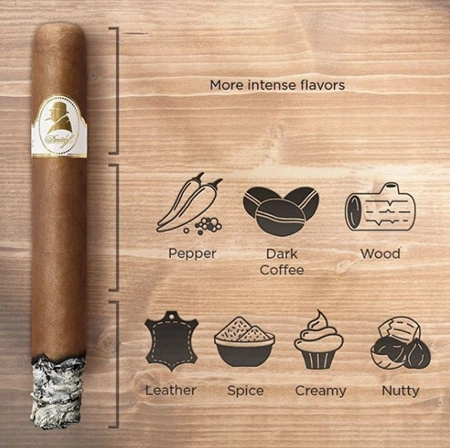 Davidoff Winston Churchill Robusto