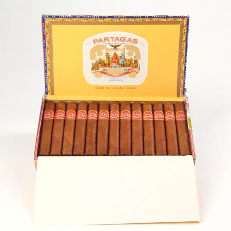 Partagas Shorts