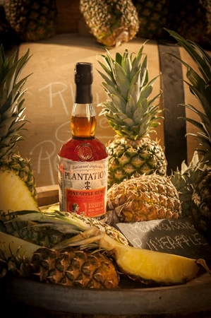 Plantation Stiggins Fancy Pineapple 40% 0,7L