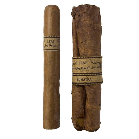 Leaf by Oscar Sumatra Toro