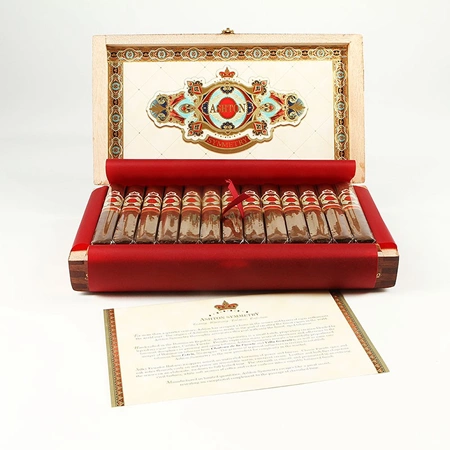 Ashton Symmetry Robusto