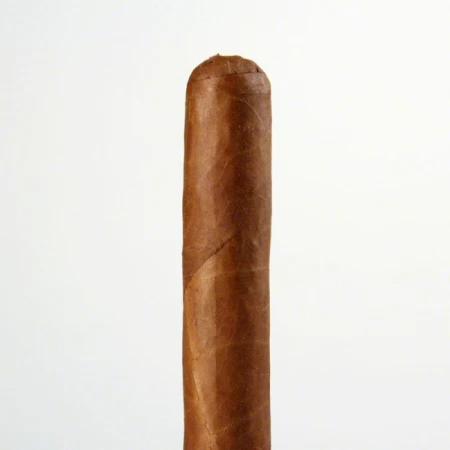 Cusano Robusto