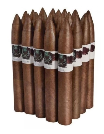 Asylum Schizo Torpedo