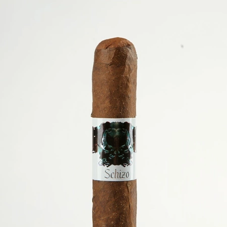 Asylum Schizo Toro
