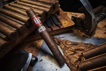 Rocky Patel Hamlet 2020 Robusto