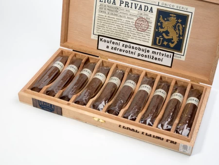 Liga Privada Unico Feral Flying Pig