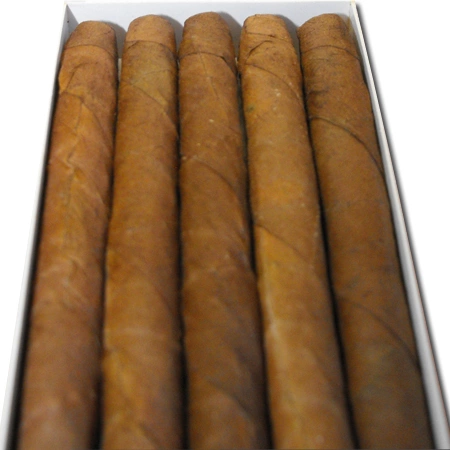 Cohiba Club - 10 ks
