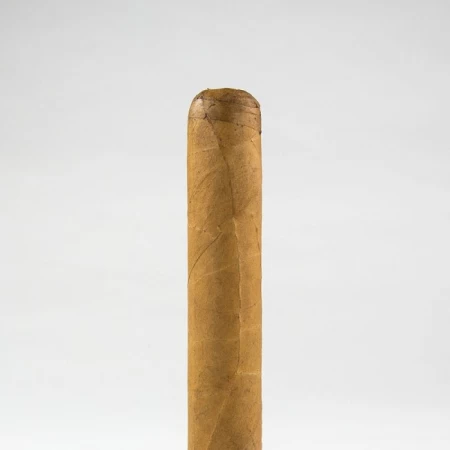 Cusano Corona