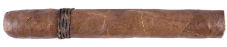 CAO Amazon Basin Rothschild