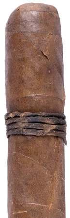 CAO Amazon Basin Rothschild