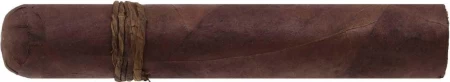 CAO Amazon Basin Rothschild