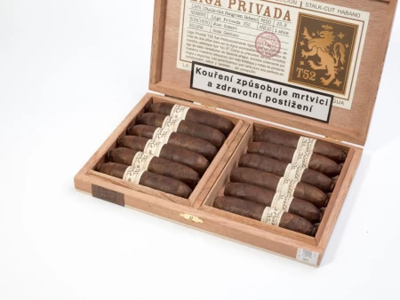 Liga Privada T52 Flying Pig