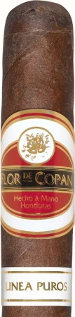 Flor de Copan Linea Puros Corona