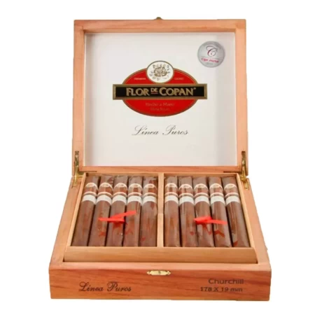 Flor de Copan Linea Puros Churchill
