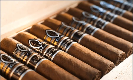 Quesada Selección Espaňa Short Robusto