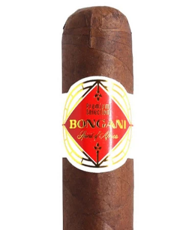 Bongani Robusto