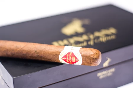 Bongani Robusto