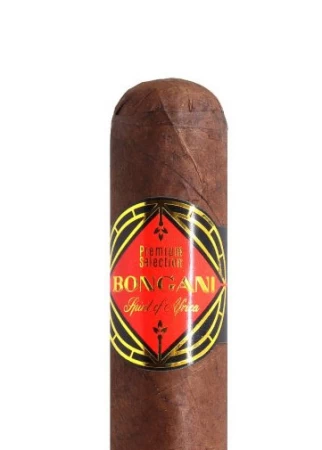 Bongani Toro