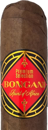 Bongani Gordo