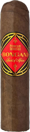 Bongani Gordo