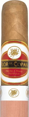 Flor de Copan Toro