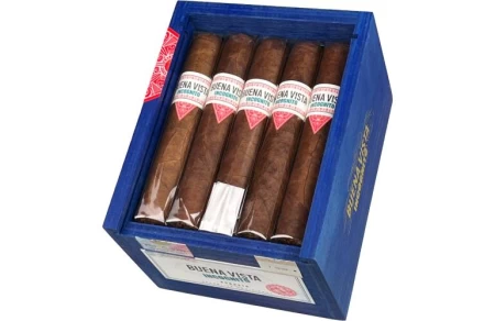 Buena Vista Incognito Robusto 