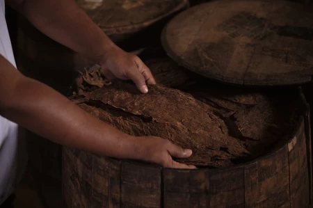 Davidoff Escurio 10th Anniversary 2025 Gran Toro