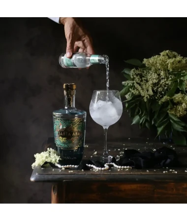 Santa Ana Gin 42,3% 0,7L